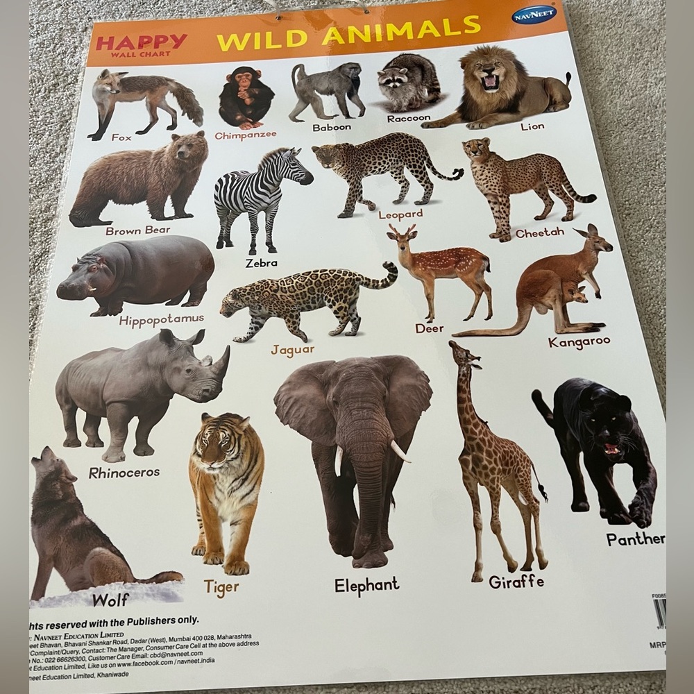 Laminated Wild animals poster.